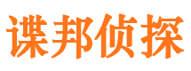 九台市调查公司